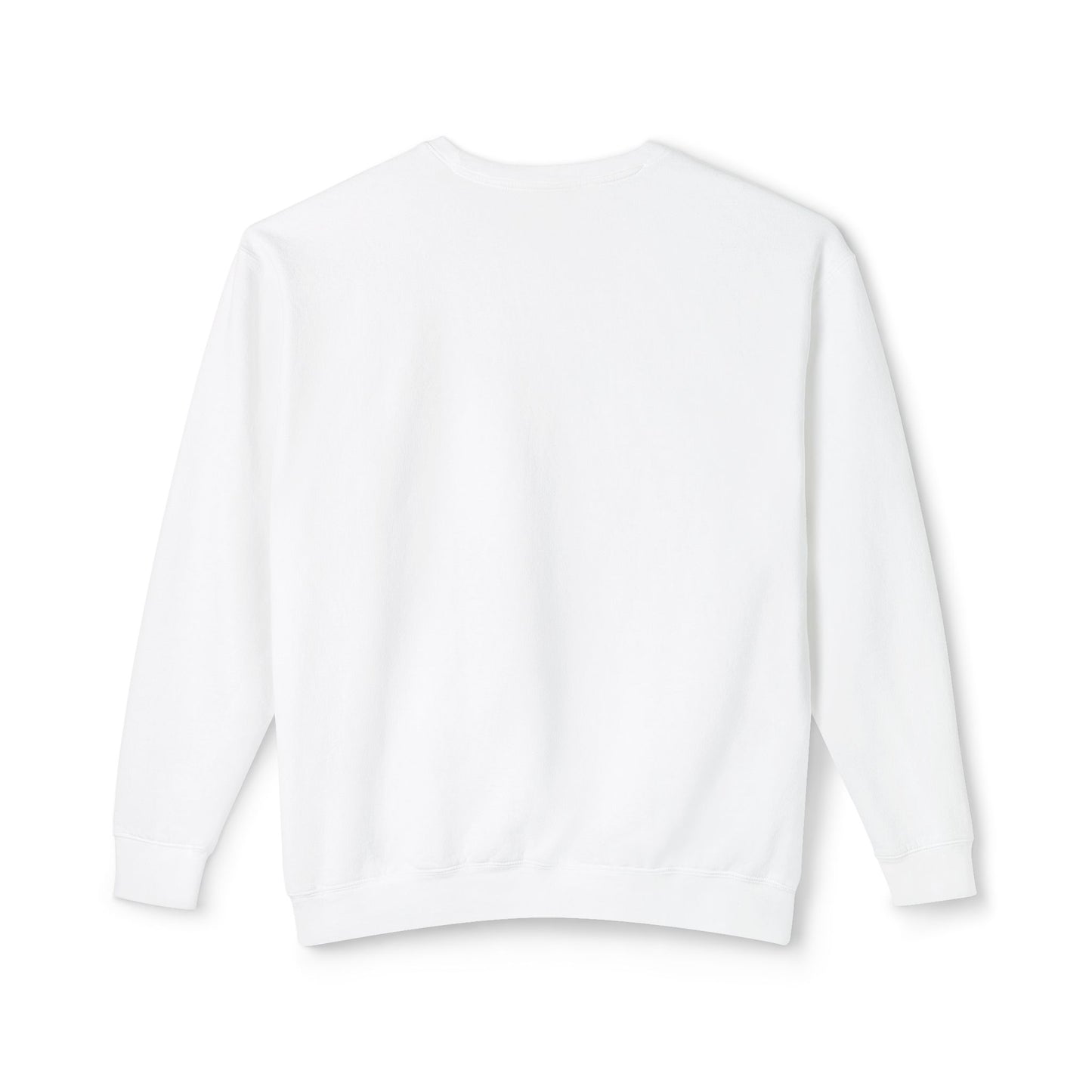 Relaxed fit ACERI Sweatshirt