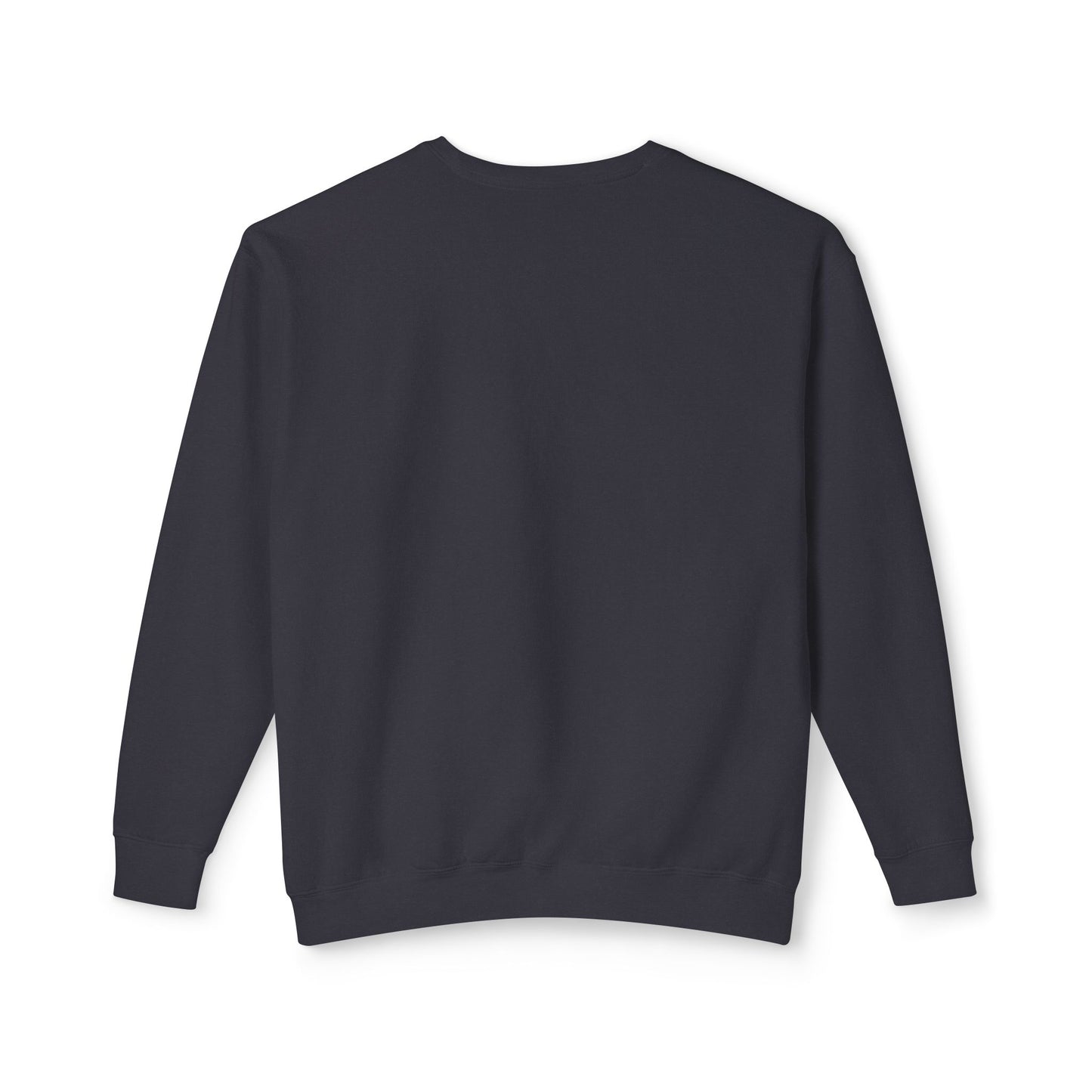 Relaxed fit ACERI Sweatshirt