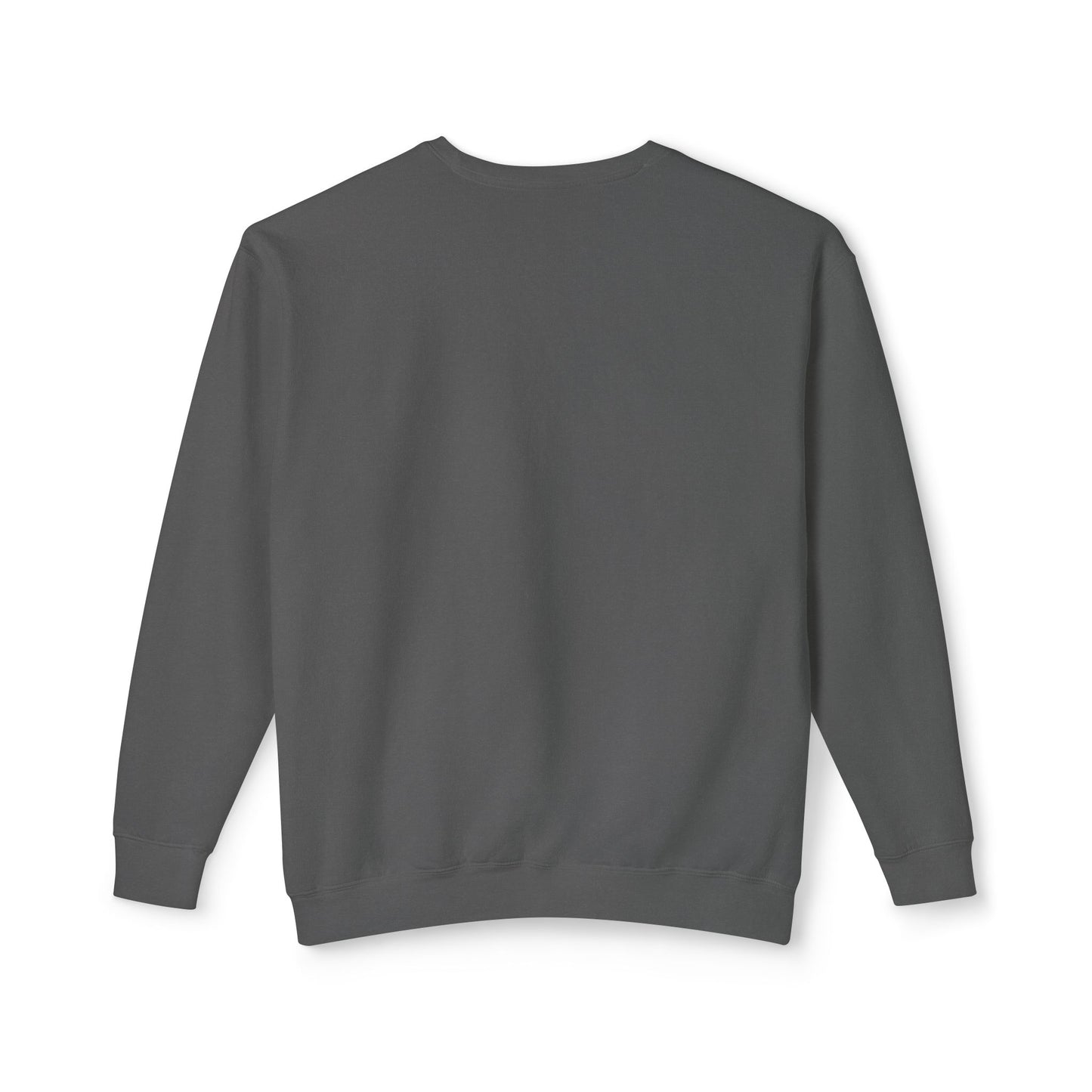 Relaxed fit ACERI Sweatshirt